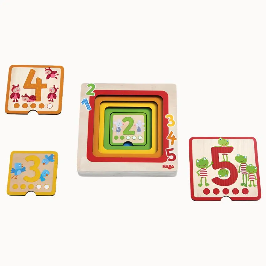 5 Layer Counting Puzzle