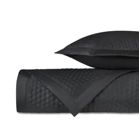 Apiary Quilted Black by Home Treasures