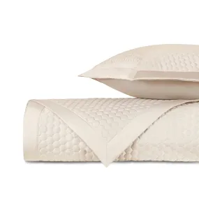 Apiary Quilted Ecru by Home Treasures