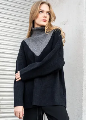 Color Block Turtleneck Sweater