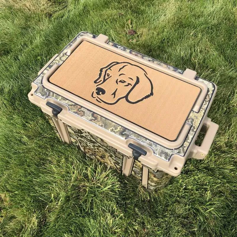Dachshund - SC/DG