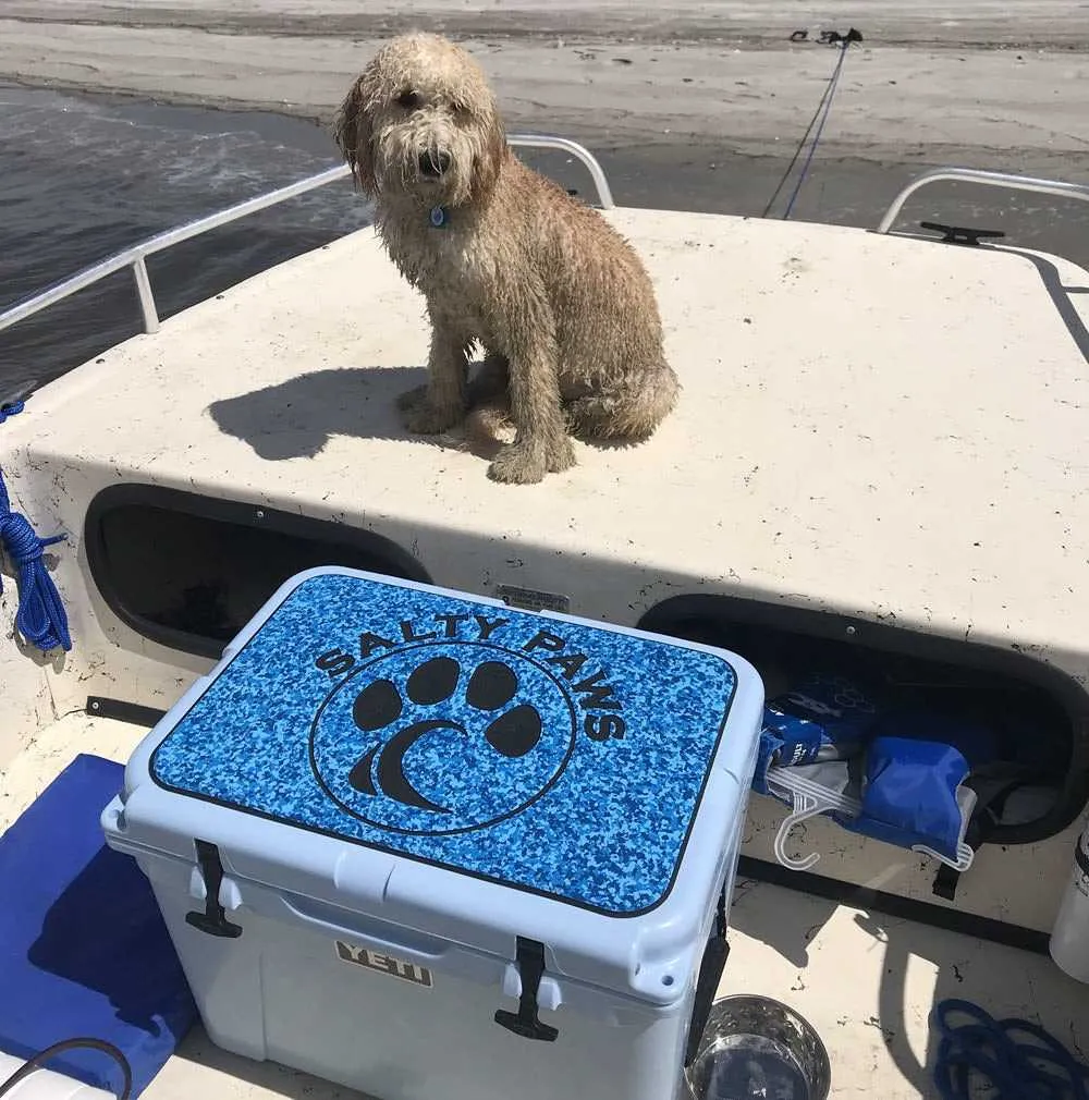 Dachshund - SC/DG