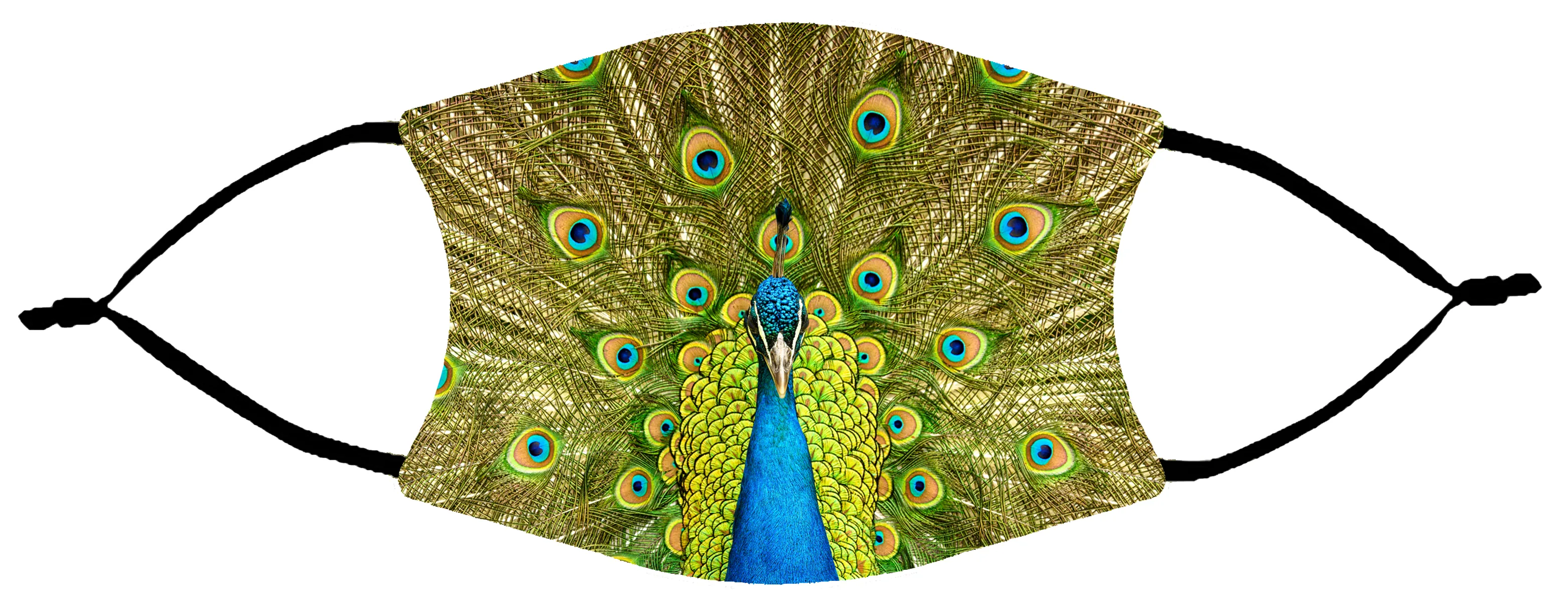 Face Mask - Peacock