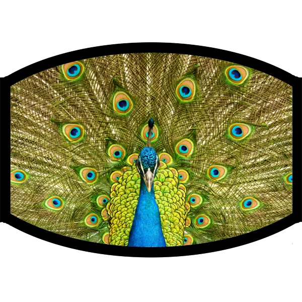 Face Mask - Peacock