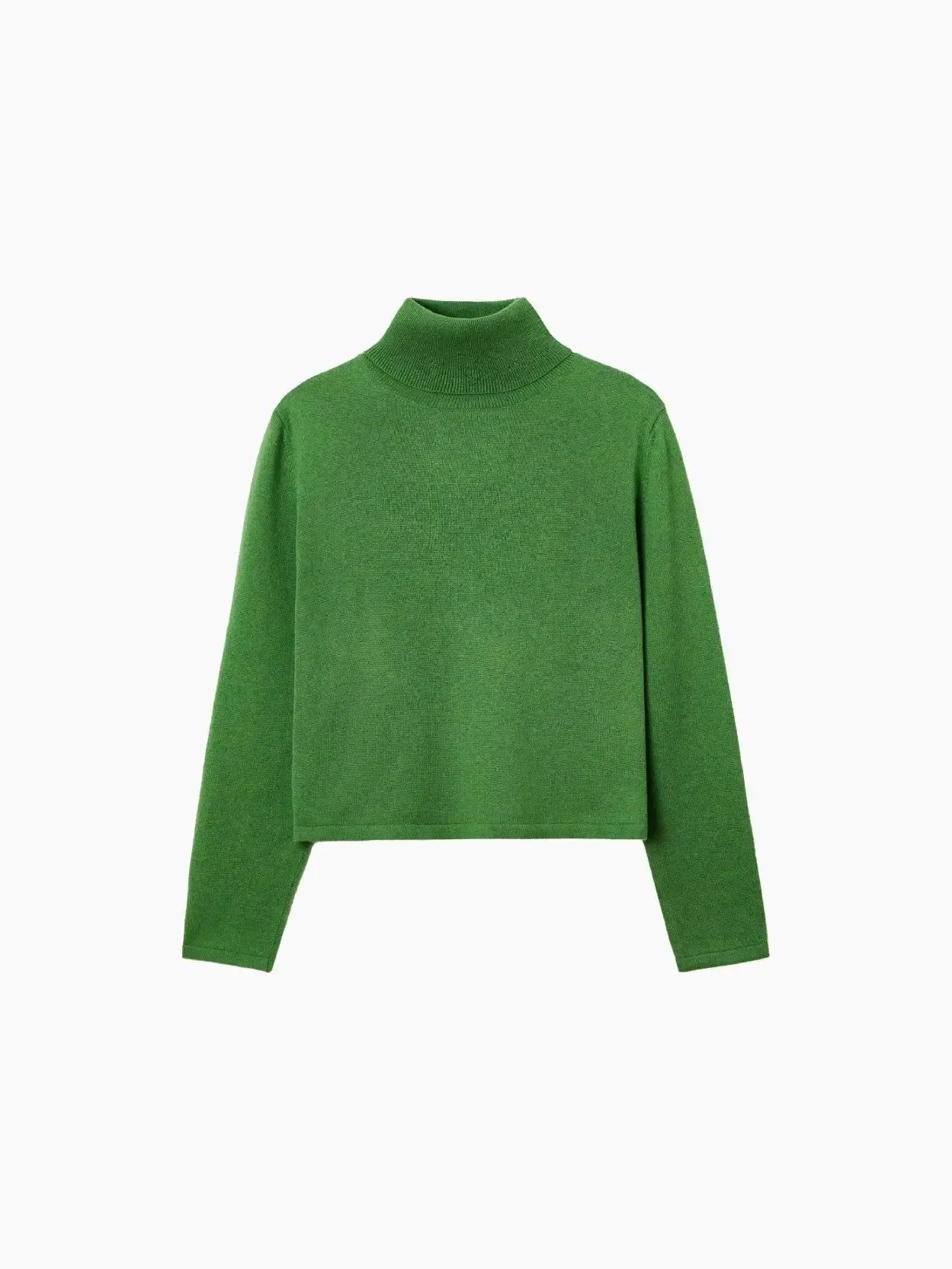Merino Wool Turtleneck Sweater Herba