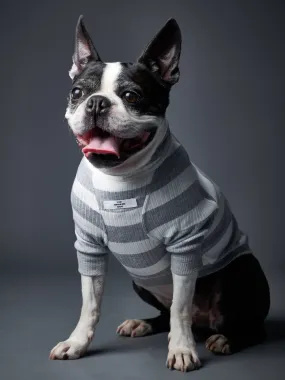 Striped Turtleneck Sweater BREA